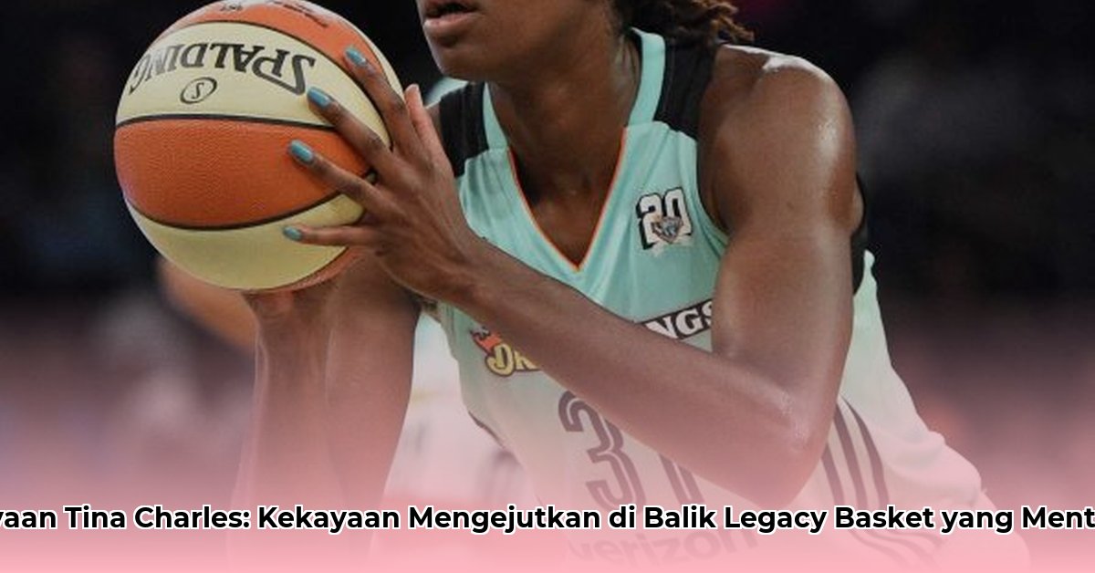 tina charles net worth